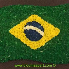 fwthumbBrazil Flag Tribute - IMG_9336.jpg